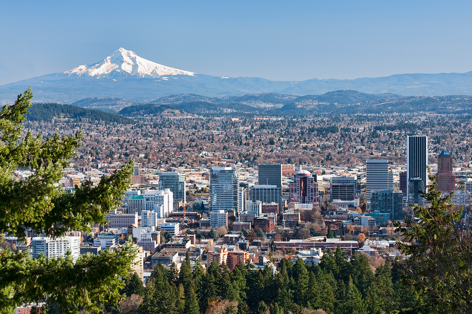 SAFE and AMSA in Oregon Schools PB Hero Image