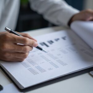 Person doing an audit